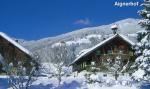 Rakouské Flachau s apartmánovým domem Aignerhof